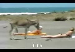 Geiler Fick im سکس خواهر و برادر کوچک Buero