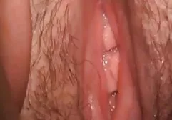 نردی sex خواهر و برادر MILF پارکر سویس