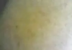 لورا سیکس خواهربرادر لیتر مایع منی